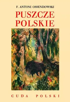 Zdjęcie produktu dla Puszcze polskie