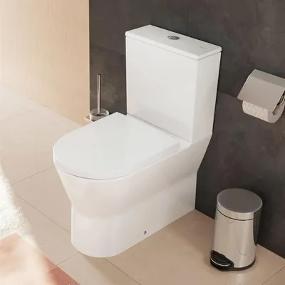 Produktbild von Hansgrohe 60205450 Stand WC Set EluPura Or.S640 ver.hor.