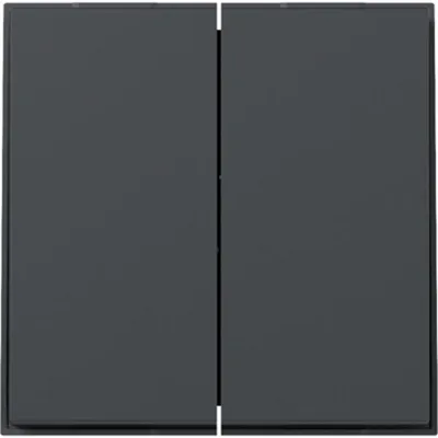 Obrázok produktu pre GIRA Wippe 349567 2f gerade TX44 anthr (349567)