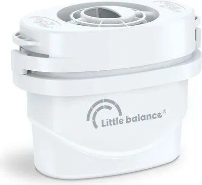Immagine prodotto di Confezione da 5 cartucce filtranti + 1 omaggio Little balance 8590
