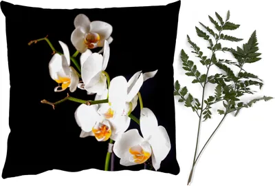 Produktbild von MuchoWow® Zierkissen Sofakissen Wohnzimmer Dekokissen 40x40 cm Orchidee - Blumen - Pflanzen - Botanisch - Foto Kissen - Schlafzimmer Dekoration