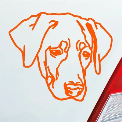 Produktbild von Auto Aufkleber Labrador Labi Labbi Hund Dog 12x10 cm Orange Sticker Heckscheibenaufkleber