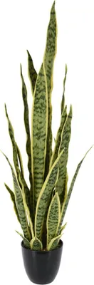 Produktbild von ProGarden Kunstblume Sanseviera im Topf 92 cm