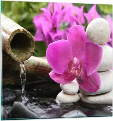 Produktbild von Bilder auf glas - Orchidee Bambus Dekoration Spa - 30x30cm - Glasbilder - Wandbilder - Kunstdruck - zum Aufhängen bereit - Wanddekoration aus Glas - Glas Bilder - Wandbild auf Glas - GAC30x30-2666