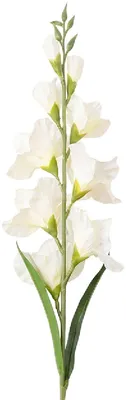 Produktbild von Clayre & Eef 5PL0303W Dekorativer Zweig mit Blumen Weiß 95 cm