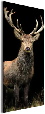 Produktbild von Wallario Premium Leinwandbild Stattlicher Rothirsch in Größe 50 x 125 cm
