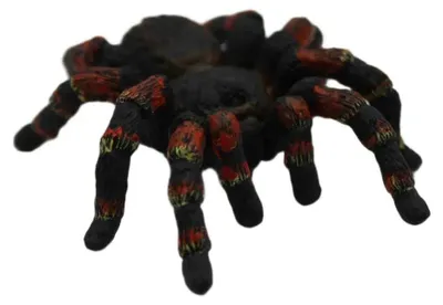 Produktbild von Schleich Tarantula Figur Braun  Kinder Braun One Size