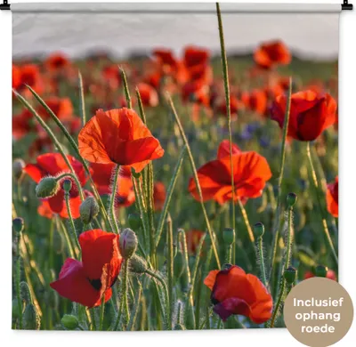 Produktbild von MuchoWow® Wandteppich Wandbehang Blumen - Mohnblumen - Natur - Rot 120x120 cm Tapisserie Dekoration Wandtuch - Modern - Baumwollgewebe