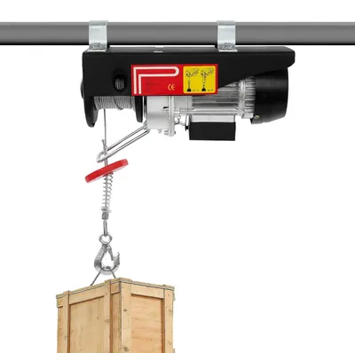 Image de Treuil électrique - 550 W - 250 kg (125 kg sur un seul brin) - câble en acier de 18 m - télécommande - IP40