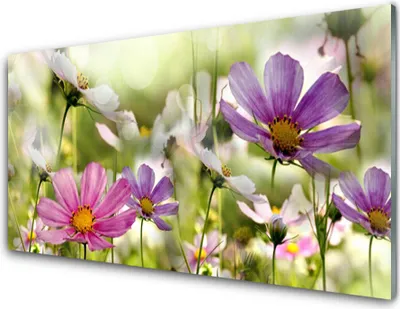 Produktbild von Acrylglasbilder 100x50 Wandbild Druck Blumen Natur