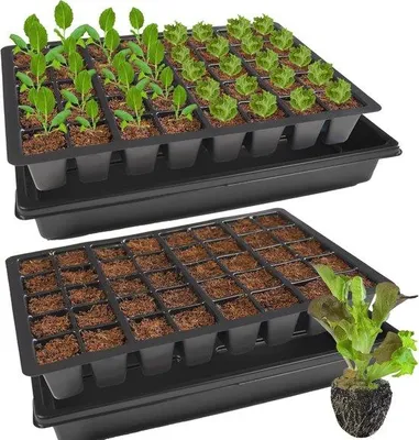 Produktbild von Famanu Anzuchtplatten mit Untersetzern für 80 Pflanzlöcher - Ideal für Gemüse und Kräuter