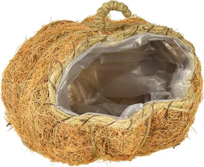 Produktbild von Pflanzkorb Kürbis Herbstdeko Orange Ø22cm H17cm Dekoration