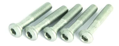 Produktbild von Procraft Schrauben für Sattelstützen M8 x 44 mm silber - sichere Klemmung und...