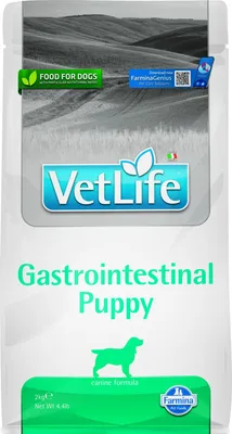 Productafbeelding van Vet Life Natural Hondenvoer voor de maag-darmgezondheid, puppy, 2 kg