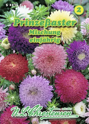 Artikelbild 1 von 'Prinzessastern Mischung' aus der Kategorie Asternsamen