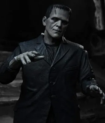 Immagine prodotto di Mostri Universal Il mostro di Frankenstein definitivo