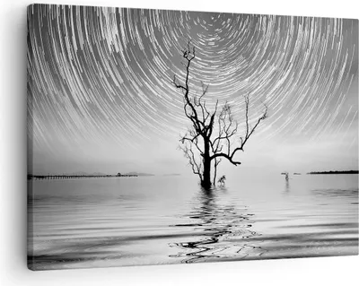 Produktbild von Bild auf Leinwand - Leinwandbild - Einteilig - Schwarzweiß Baum See - 70x50cm - Wand Bild - Wanddeko - Wandbilder - Leinwanddruck - Bilder - Wanddekoration - Leinwand bilder - Wandbild - AA70x50-4253