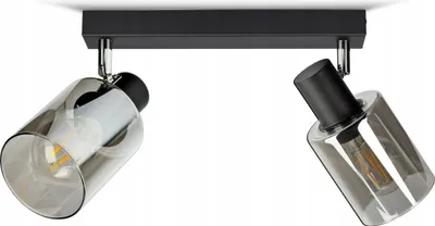 A close-up studio shot of a black ceiling light fixture with two adjustable spotlights.