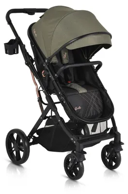 Produktbild von Moni Kombikinderwagen Rafaello 2 in 1, umbaubar, Sportsitz, Fußabdeckung, Tasche grün