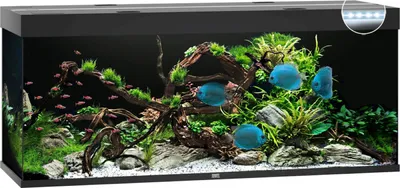 Produktbild von Aquarium JUWEL Rio 450 mit LED-Beleuchtung, Pumpe, Filter, Heizer ohne Unterschrank schwarz