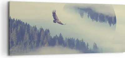 Produktbild von Bild auf Leinwand - Leinwandbild - Vogel Natur Wald - 120x50cm - Wand Bild - Wanddeko - Wandbilder - Leinwanddruck - Bilder - Kunstdruck - Wanddekoration - Leinwand bilder - Wandkunst - AB120x50-3853