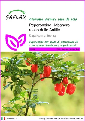 Immagine prodotto di SAFLAX - Peperoncino Habanero rosso delle Antille - 10 semi - Capsicum