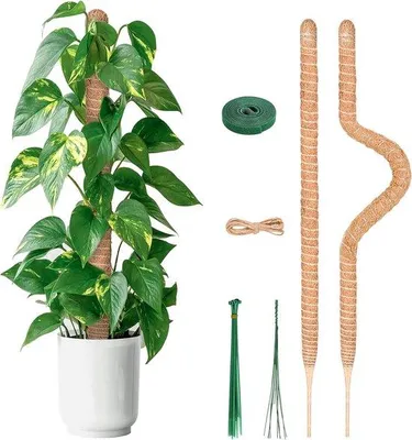 Produktbild von Famanu Pflanzenstütze 2 Stück 80 cm - Flexible Unterstützung für Kletterpflanzen