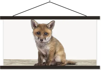Produktbild von MuchoWow® Textilposter Fuchs - Baby-Fuchs - Kinder - Mädchen - Jungen 120x60 cm mit schwarzem Rahmen - Dekoration Schlafzimmer