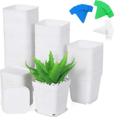 Image de Pots de fleurs en plastique Famanu, 7 cm, avec drainage et sous-couches - pour intérieur et extérieur