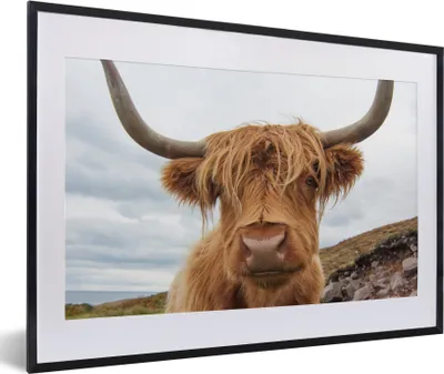 Produktbild von MuchoWow® Gerahmtes Poster Schottischer Highlander - Kuh - Landschaft 60x40 cm - Poster mit Schwarzem Bilderrahmen Wandposter Rahmen Foto Bilder - Schlafzimmer - Plakat in Rahmen - Drucken
