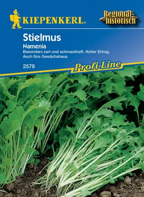 Produktbild von Stielmus Namenia, besonders zart und schmackhaft, hoher Ertrag