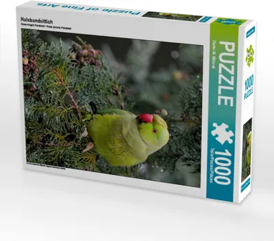 Produktbild von Calvendo Halsbandsittich 1000 Teile Puzzle hoch 480x640mm, Wilczek Dieter-M.; 7319251