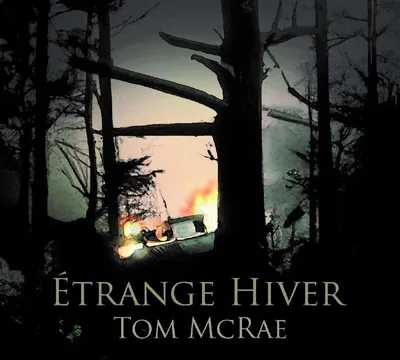 Image de Tom McRae : Tom McRae : Strange Winters - 375 Media - (LP / E)