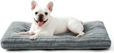 Produktbild von Hundebett für kleine Hunde - Waschbares Hundekissen Weich und Donzig - Atmungsaktives Hundebett - Pluche Hundematte 61x47x8cm