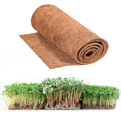 Zdjęcie produktu dla Mata kokosowa do roślin, o wymiarach 25 x 400 cm, idealna do zrównoważonego ogrodnictwa