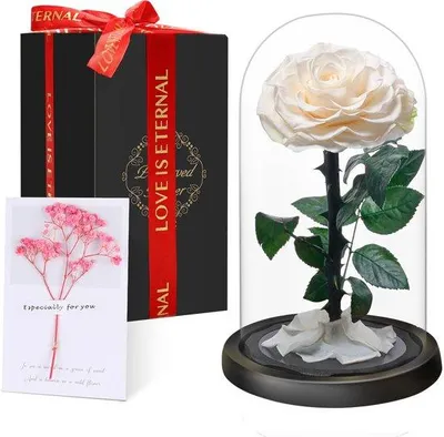 Produktbild von Premium-Ewige Rose im Glas mit Geschenkbox | Echte, konservierte Blume, handgefertigt über 5 Jahre | Einzigartiges Geschenk für Mutter, Oma als Zeichen der Wertschätzung