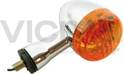 Immagine prodotto di Indicatore di direzione BIHR arancione, anteriore destro per: si adatta a Suzuki VL 800