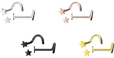 Produktbild von Nasenpiercing, Nasenstecker Chirurgenstahl Nasenstecker STERN