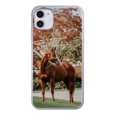 Produktbild von MuchoWow® Handyhülle Schutzhülle Hülle für iPhone 11 Pferd - Baum - Halfter Silikon Softcase Handy Hülle - Handytasche