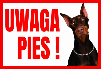 Obrázok produktu pre POZOR, PES! Výstražná tabuľka DOBERMAN 250x175 PVC