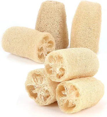 Produktbild von Natürliche Luffa-Schwamm 6 Stück, Biologisch Abbaubar, Für Körperpflege Und Haushalt, 10 cm Länge