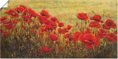 Produktbild von ARTland Poster Mohnfeld Größe: 150x75 cm