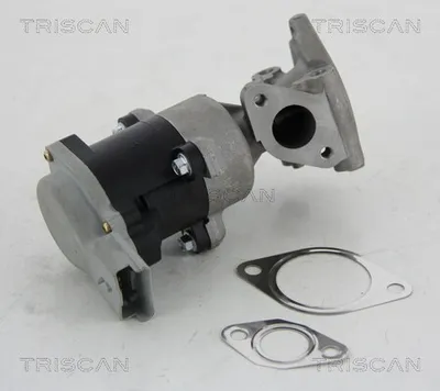 Produktbild von TRISCAN 8813 10008 AGR-Ventil mit Dichtungen für CITROËN C5 III Kombi (RW) Abgasrückführungsventil