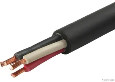 Image de HERTH+BUSS ELPARTS Câble électrique