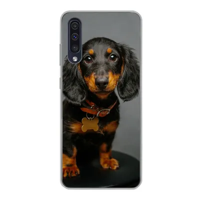 Produktbild von MuchoWow® Handyhülle Schutzhülle Hülle für Samsung Galaxy A30s Studiofoto eines Dackelwelpen Silikon Softcase Handy Hülle - Karteninhaber
