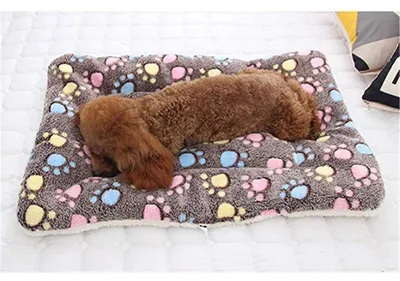 Immagine prodotto di Tappetino per cani, cuscino per cani, coperta per gatti, in peluche, morbido, lavabile, 51x34 cm, marrone