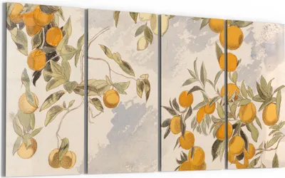 Produktbild von DEQORI Glasbild Echtglas 4x30x60 cm 'Orangenpracht' Wandbilder XXL groß