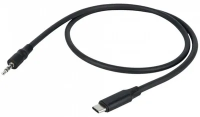Image de DAP FL113 - USB-C vers mini-jack stéréo 0,75 m