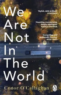Immagine prodotto di We Are Not in the World
