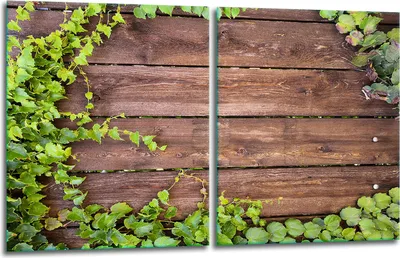 Produktbild von Herdabdeckplatten 2x40x52 Glaskeramikfeld 2-Teilig Glas Spritzschutz Holz